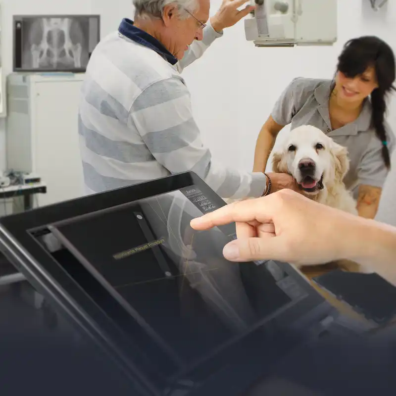Digitale Röntgengerät für Veterinäre und Tierarztpraxen